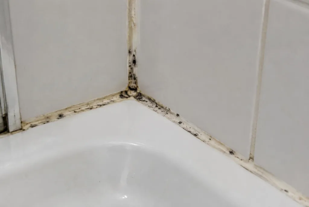 Kitbedrijf Amersfoort – beschimmelde kitranden